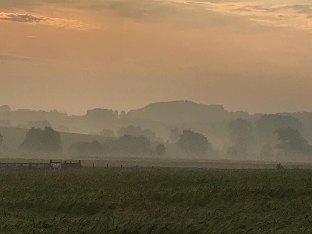 Kompas gîte Ellezelles Bagian luar foto