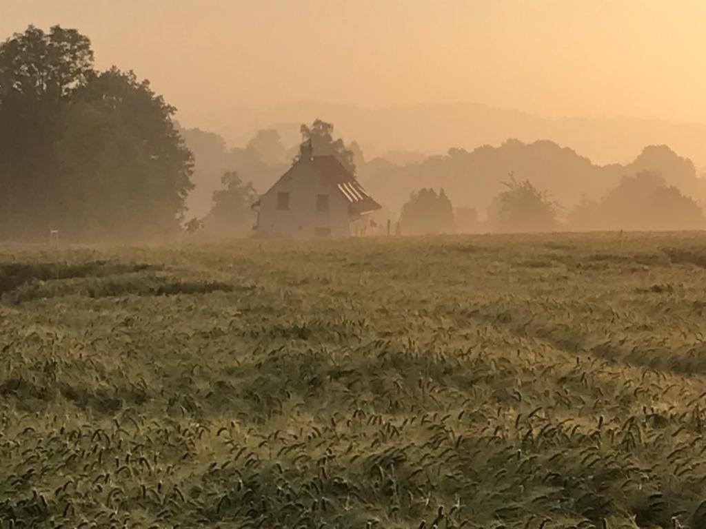 Kompas gîte Ellezelles Bagian luar foto